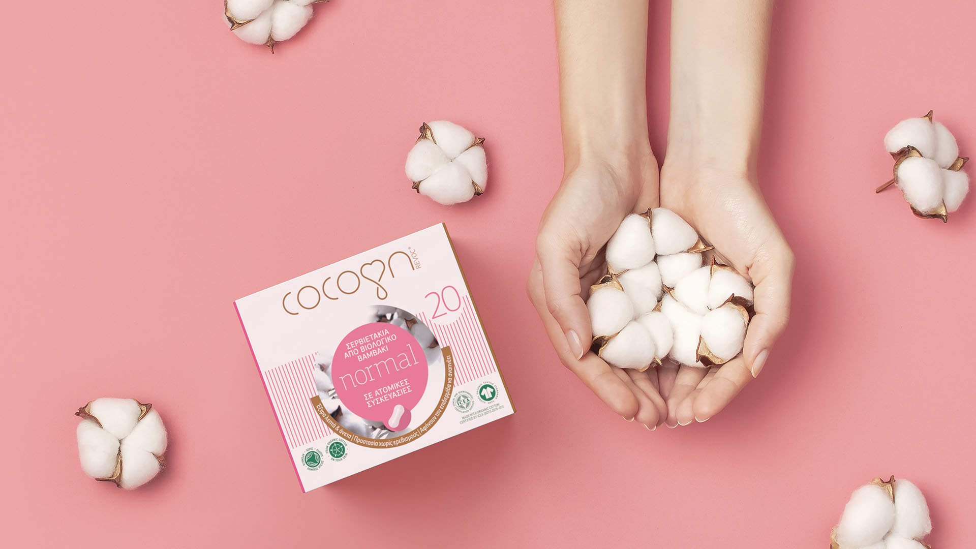 Cocoon biodegradable sanitary pads carton box next to hands holding cotton